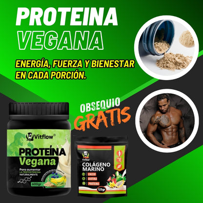 PROTEINA VEGANA HOMBRES AUMENTO TESTOSTERONA