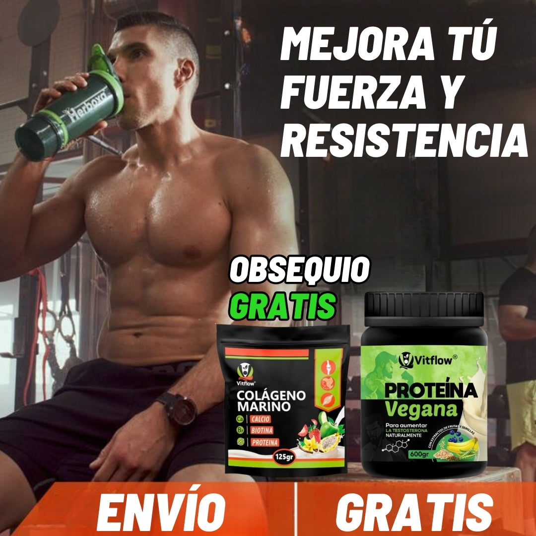 PROTEINA VEGANA HOMBRES AUMENTO TESTOSTERONA