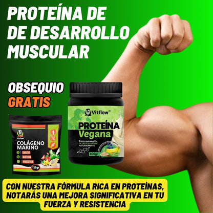 PROTEINA VEGANA HOMBRES AUMENTO TESTOSTERONA